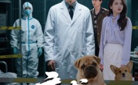 《病犬危机（68集）》精彩短剧高清无广观看