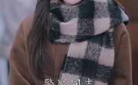 《谁也别想抢我的房子（31集）》全集短剧流畅播放