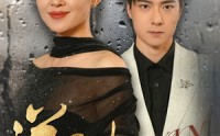 《逆子归心（31集）》经典短剧全集在线回味