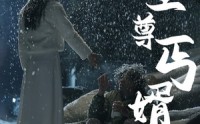 《至尊丐婿（91集）》必看短剧全集在线追