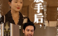 《放手后，白眼狼儿子后悔了（54集）》热门短剧一口气追完