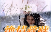 《绝情救赎（30集）》高清短剧全集在线畅看