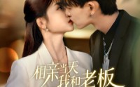 《相亲当天我和老板领证结婚了（52集）》热门短剧全集高清在线追