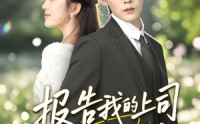 《报告我的上司有点甜（97集）》免费短剧全集高清观映