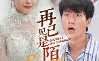 《归来的星光（55集）》高清短剧全集在线畅享