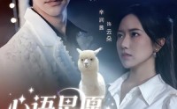 《心语星愿之羊驼（60集）》热门短剧免费全集观映