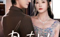 《月下有归人（70集）》优质短剧在线观看