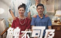 《触不可及（30集）》高清短剧全集在线欣赏