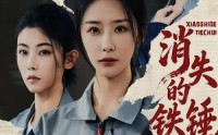 《消失的铁锤（55集）》优质短剧全集免费点播