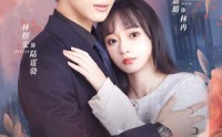 《双生夺爱陆总你认错夫人了》（94集）高清短剧免费看