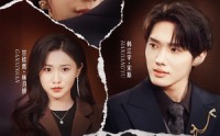 《谎言撕碎后（30集）》高分短剧全集免费享
