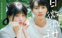 《夏日微微甜（79集）》免费短剧高清在线观