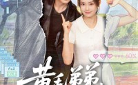 《黄毛弟弟扶姐上青云（60集）》精彩短剧完整版在线看