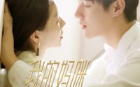 《我的妈咪是大佬（92集）》全集短剧免费畅享