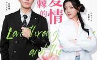 《披荆斩棘的爱情（90集）》独家短剧全集呈现