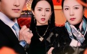 《远嫁难归家（32集）姜博龙》短剧全集免费在线追看