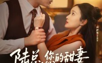 《陆总您的甜妻已到达深城（62集）》短剧全集免费在线享