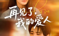 《再见了我的爱人（62集）》热门短剧全集免费畅看