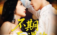《不期而遇的33天（45集）》完整短剧在线畅快观