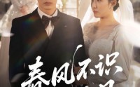 《春风不识旧时月（62集）》免费短剧资源在线获取