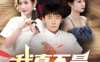 《我真不是隐士高人（87集）》精彩短剧在线连看