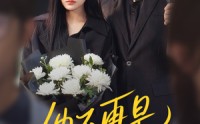 《他不再是我的光（60集）》优质短剧免费畅快追
