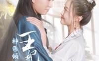 《神医倾城王妃要休夫（64集）》热门短剧不容错过