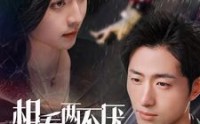 《相看两不厌（80集）》独家短剧免费观看全集