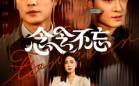 《念念不忘（73集）》爆款短剧高清在线播放