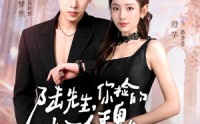 《太子爷的小玫瑰又掀桌了（68集）》高分短剧全集免费在线播