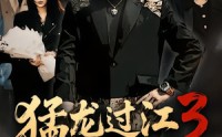 《猛龙过江3之只手遮天（64集）》精彩短剧全集一键畅看
