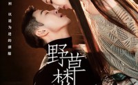 《野草焚尽（74集）》热门短剧在线免费点播