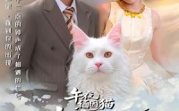 《午夜缅因猫我的饲主竟是命中注定（66集）》高分短剧无删减在线看