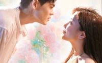 《每天都和总裁斗智斗勇（83集）》优质短剧全集欣赏