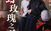 《野玫瑰之刃（96集）》极致短剧体验流畅播放