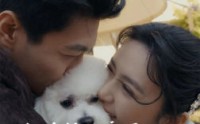 《和总裁互穿后先婚后爱》（60集）浪漫短剧尽情享受