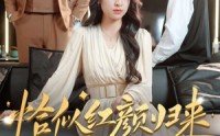 《恰似红颜归来（79集）》短剧全集高清流畅播放
