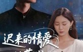 《迟来的情爱比草贱（46集）》高清短剧完整版观看