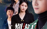 《别虐了，夫人带娃要改嫁（78集）》热门短剧全集免费看