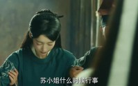《双花镜（20集）》优质短剧高清在线播