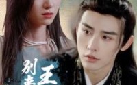 《王爷别来无恙》（88集）精彩短剧不容错过看