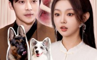 《闪婚偏宠，夫人马甲有亿点多（85集）》爽文短剧不间断更新