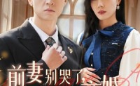 《前妻别哭了，是你说离婚的（42集）》剧情短剧一次性追完