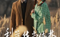 《梨落华堂绮梦（95集）》高清短剧全集畅享