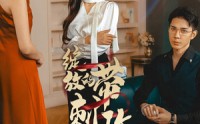 《绽放的带刺玫瑰（48集）》高清短剧全集在线畅看