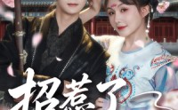 《招惹了隐藏太子（81集）》高分短剧全集免费观赏