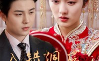 《入错洞房嫁对郎（63集）》浪漫短剧全集随心赏