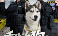 《重生为狗屡破大案震惊全网（80集）》热门短剧在线完整播放