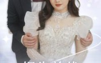 《报告总裁您找错夫人了（93集）》独家短剧流畅播放
