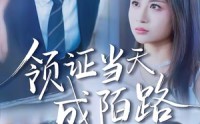 《领证当天成陌路（39集）》热门短剧完整版免费畅看